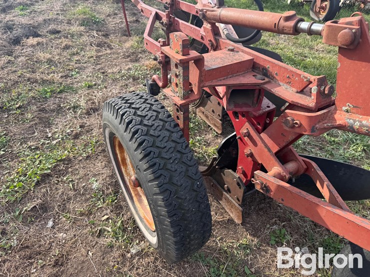 international-5-image-19