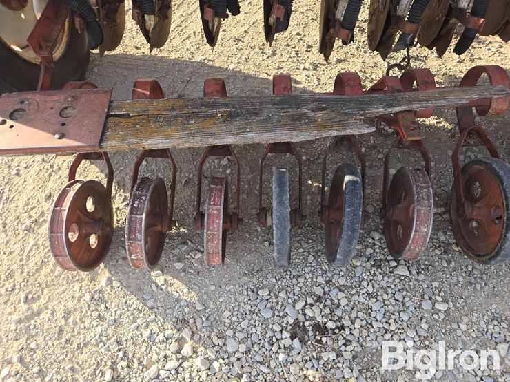 international-10-image-19