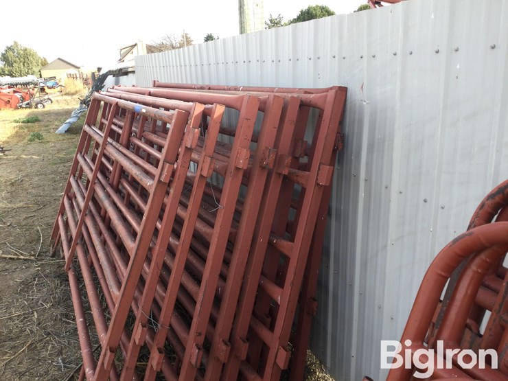 metal-livestock-panels-image-8