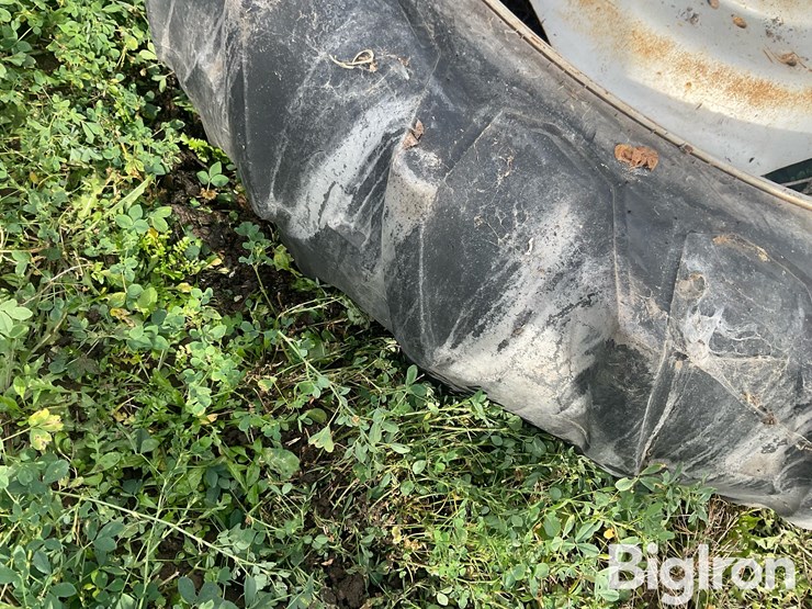 international-8-image-18