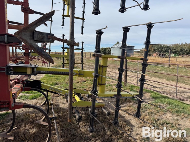 sunflower-2331-image-9