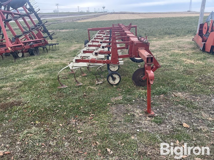 international-153-image-2