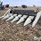 2010-gleaner-gl3000-6-6r30”-corn-head-image-1