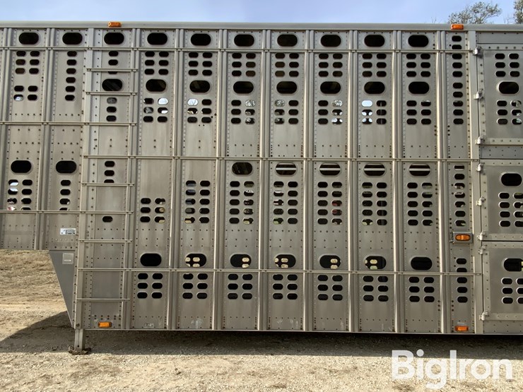 wilson-psdcl-image-19