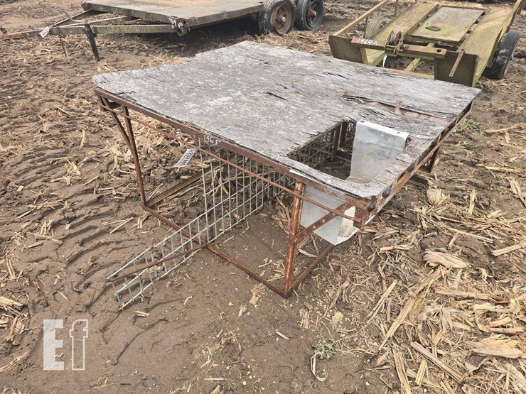 homemade-dog-image-1