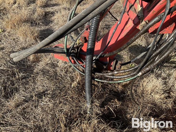 sunflower-9433-40-image-11