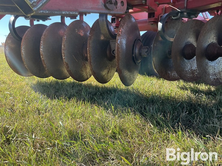 sunflower-1232-21-image-14