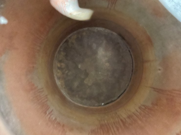 #7869-•-metal-milk-can-image-3