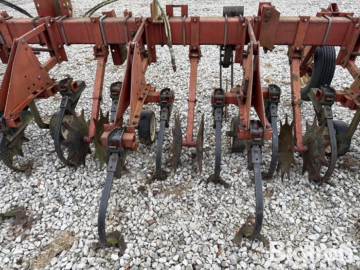 international-183-image-12