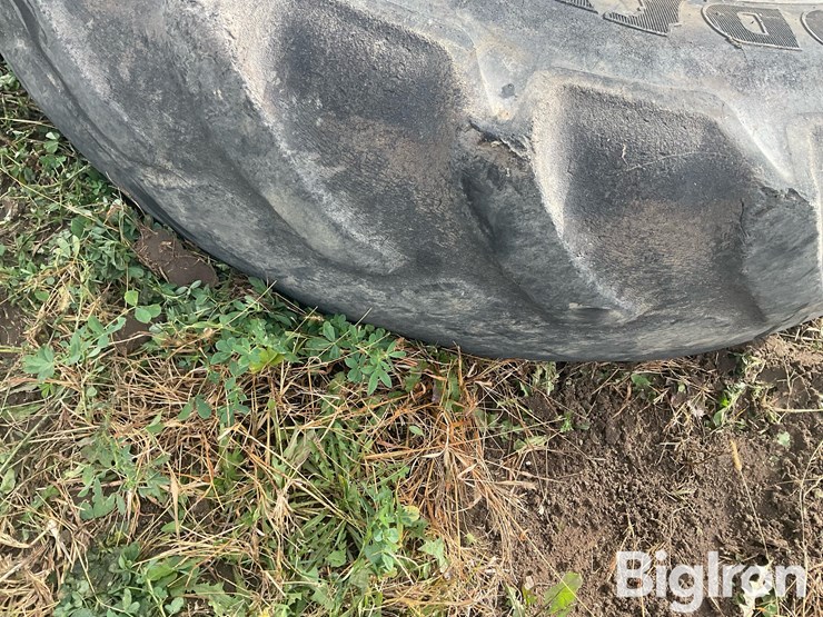 international-8-image-18