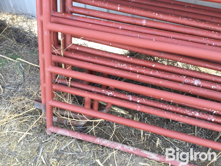 metal-livestock-panels-image-15
