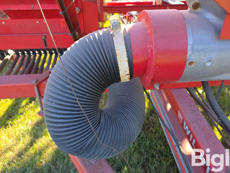 wil-rich-4153-image-18