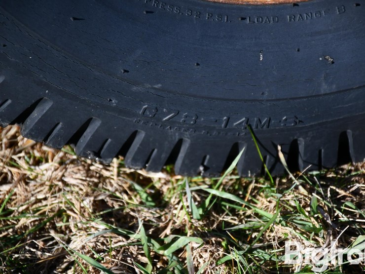 international-7-image-15