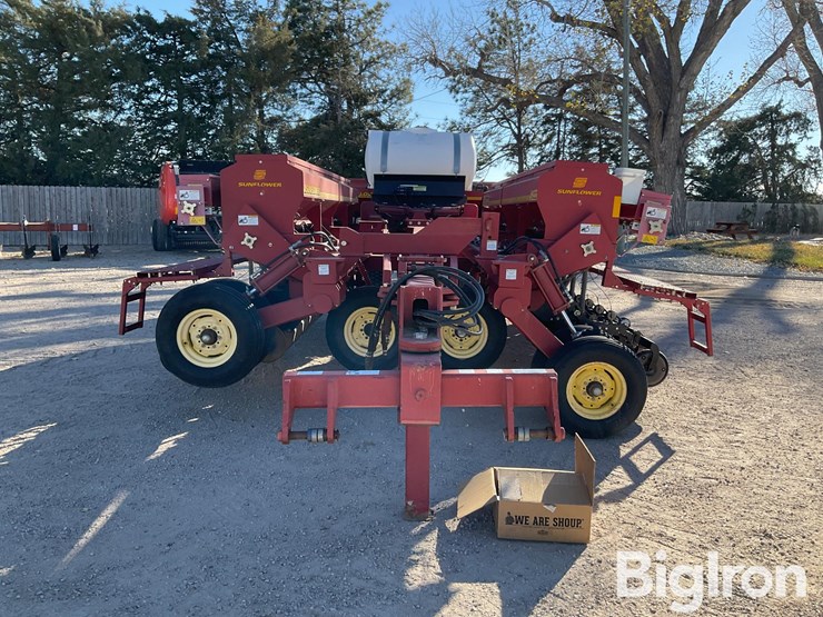 sunflower-9433-40-image-8