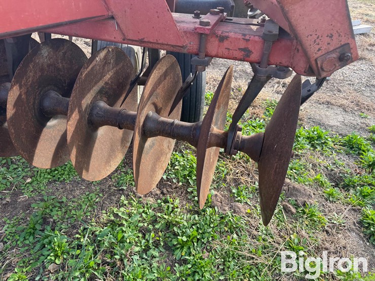 international-490-image-15