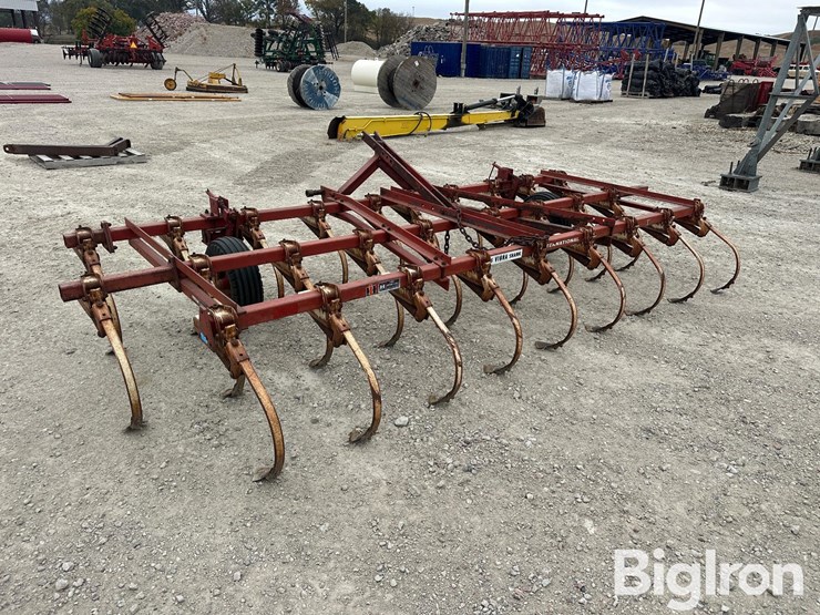 international-45-image-7