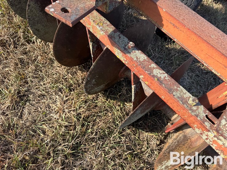 international-12-image-18