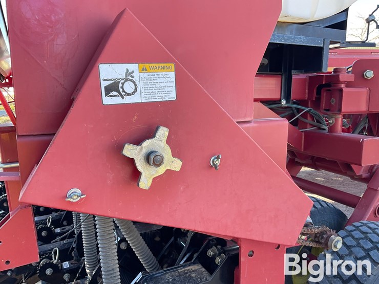 sunflower-9433-40-image-14