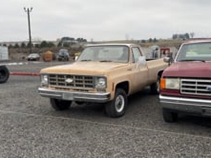 1977-chevrolet-scottsdale-10-pickup-image-28