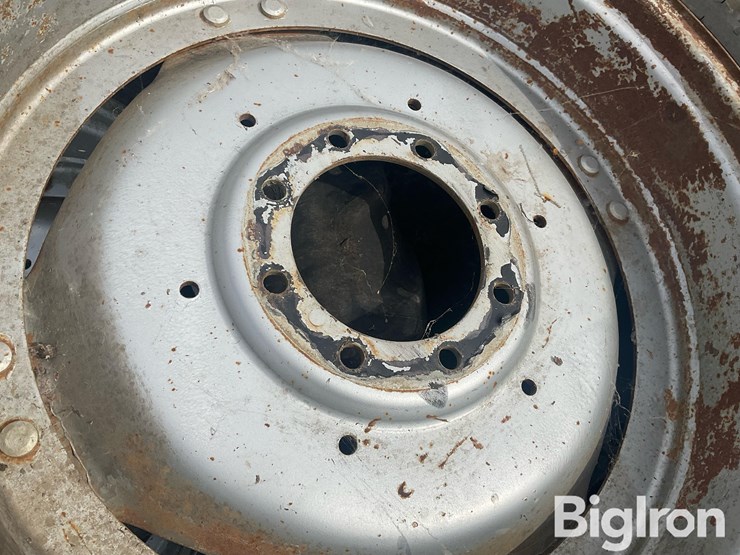 international-8-image-16