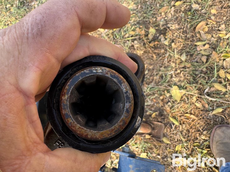 international-h-image-14