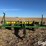 john-deere-1780-image-2