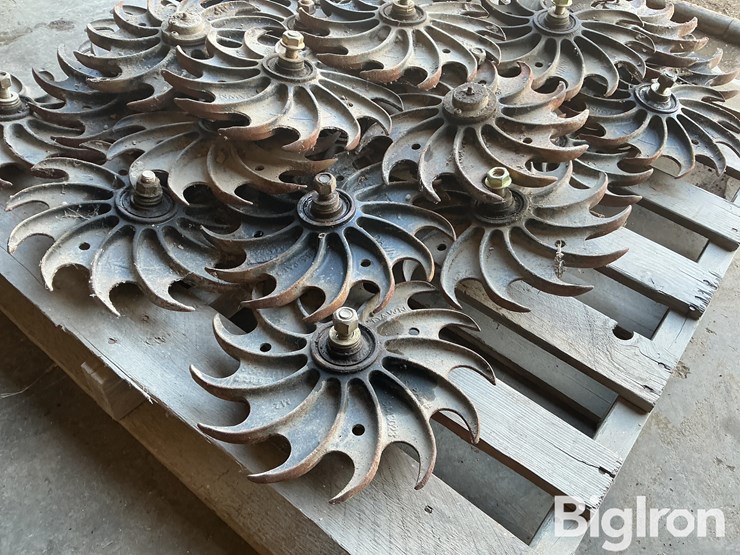 dawn-row-cleaners-image-13