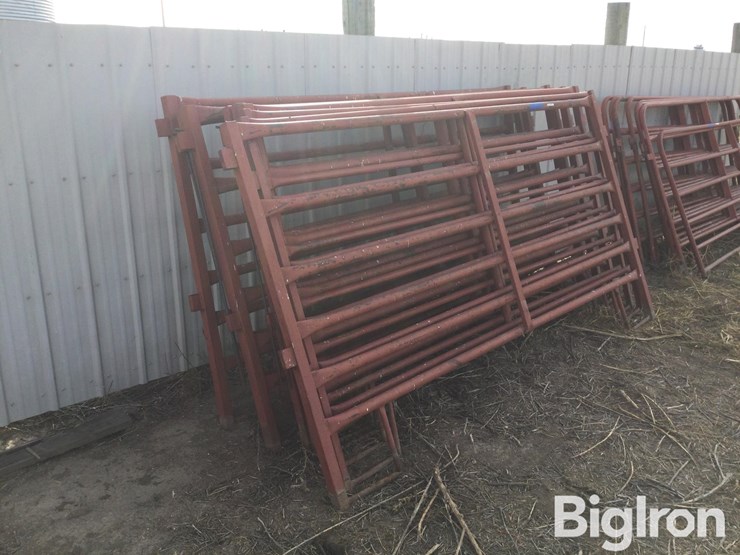 metal-livestock-panels-image-6