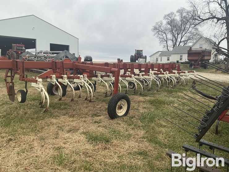 international-153-image-8