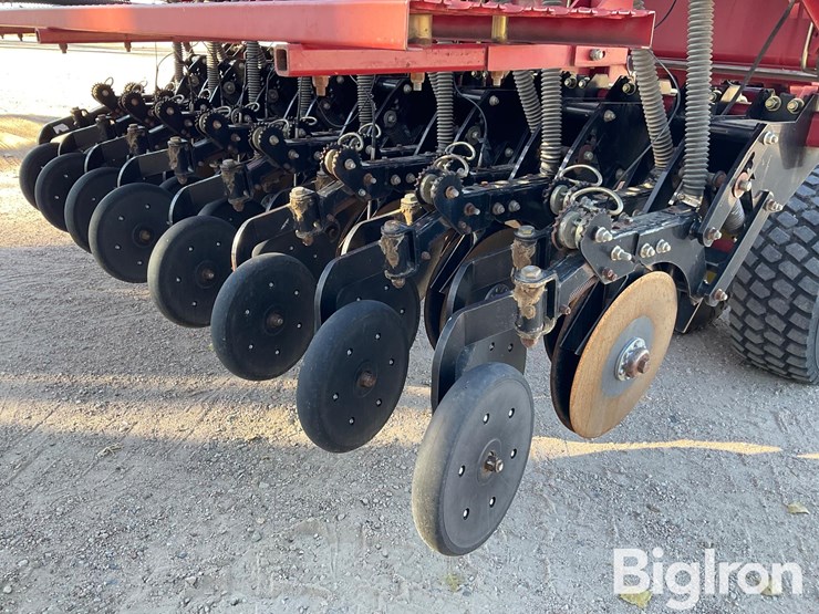 sunflower-9433-40-image-16