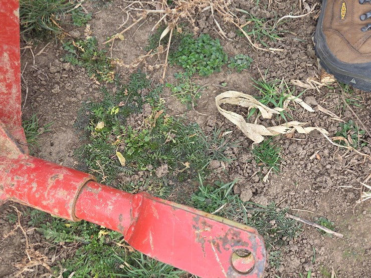 buhler-farm-king-1034-image-14