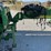 john-deere-1770-ccs-image-47