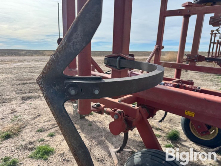 sunflower-2331-image-15