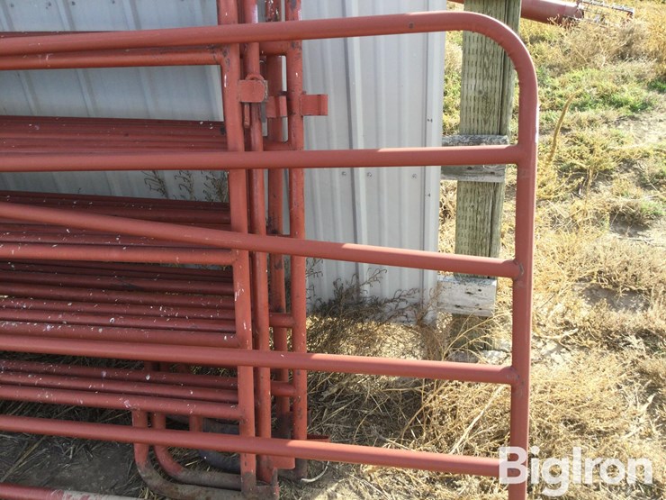 metal-livestock-panels-image-11