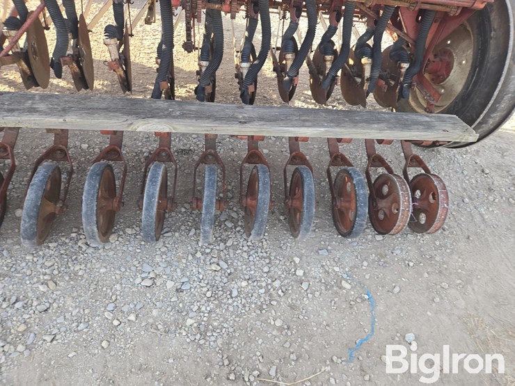 international-10-image-17