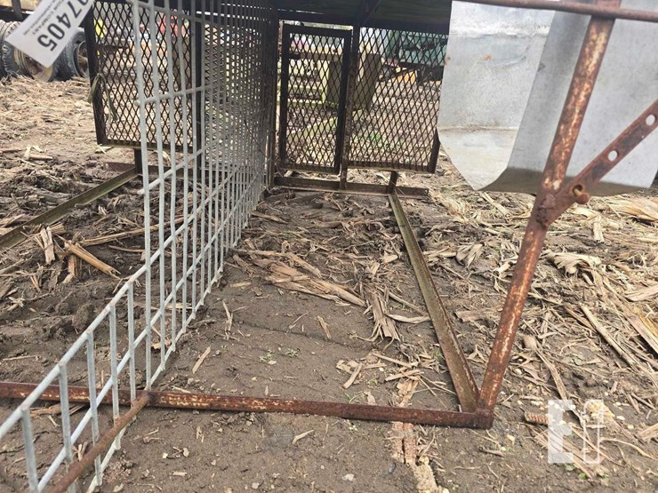 homemade-dog-image-6