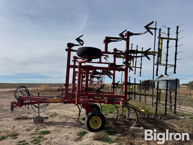 sunflower-2331-image-8