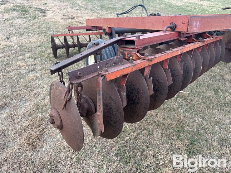 international-470-image-20