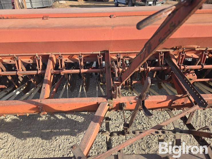 international-10-image-14