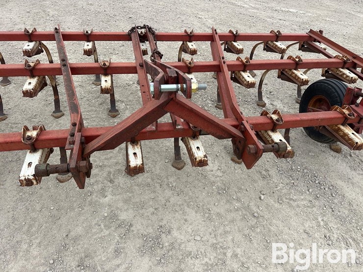 international-45-image-11