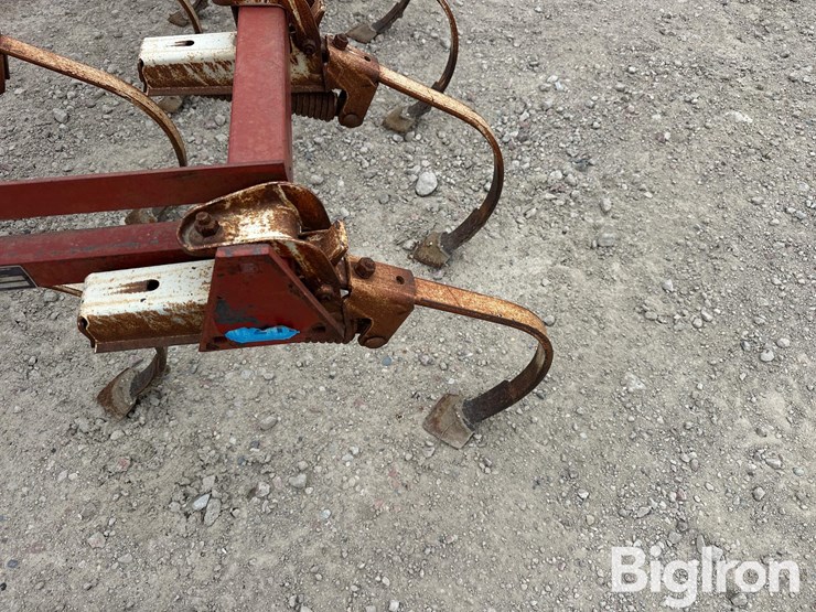 international-45-image-20