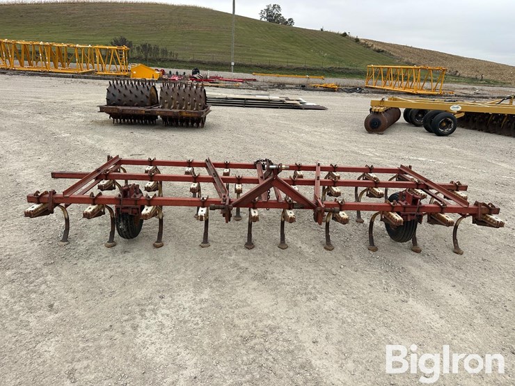 international-45-image-2