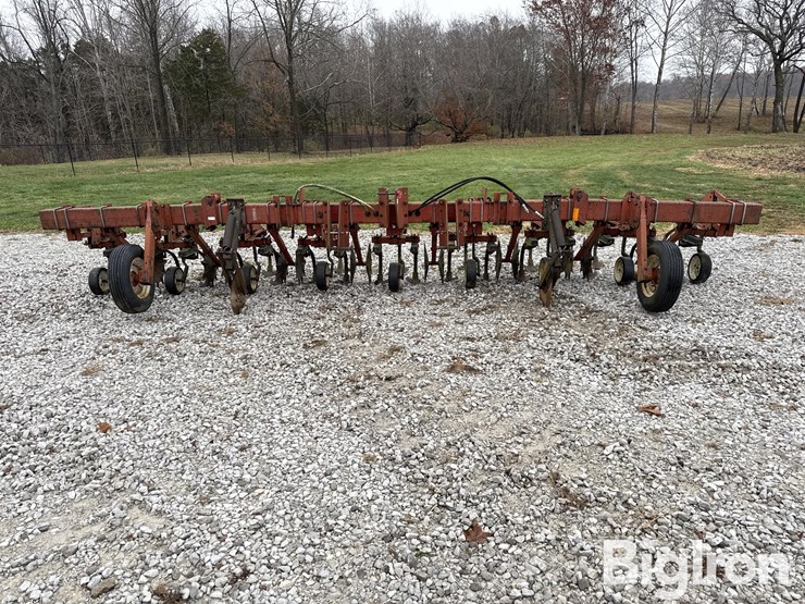 international-183-image-2