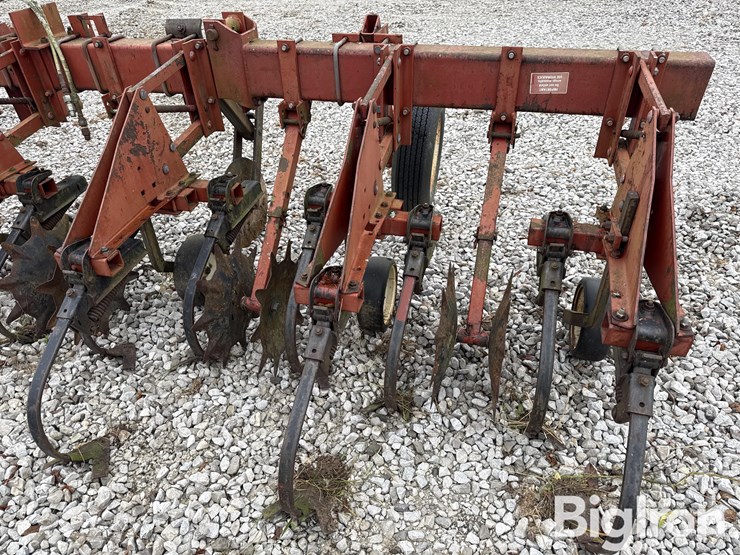 international-183-image-11