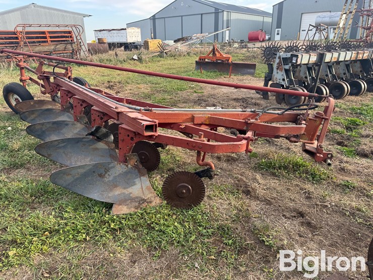 international-5-image-3