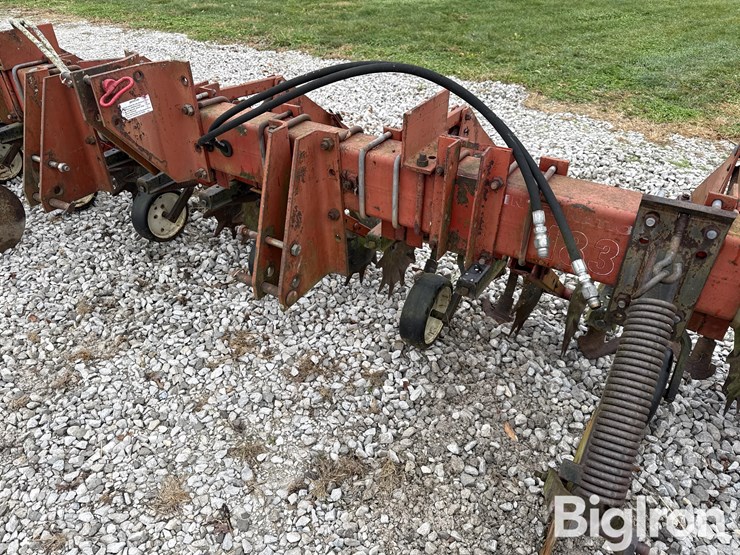 international-183-image-9