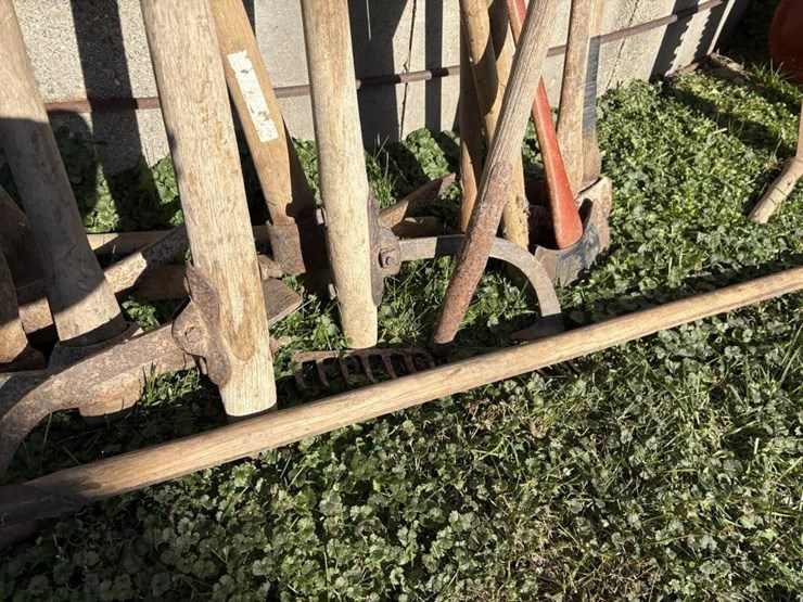 large-lot-of-yard-tools-image-3