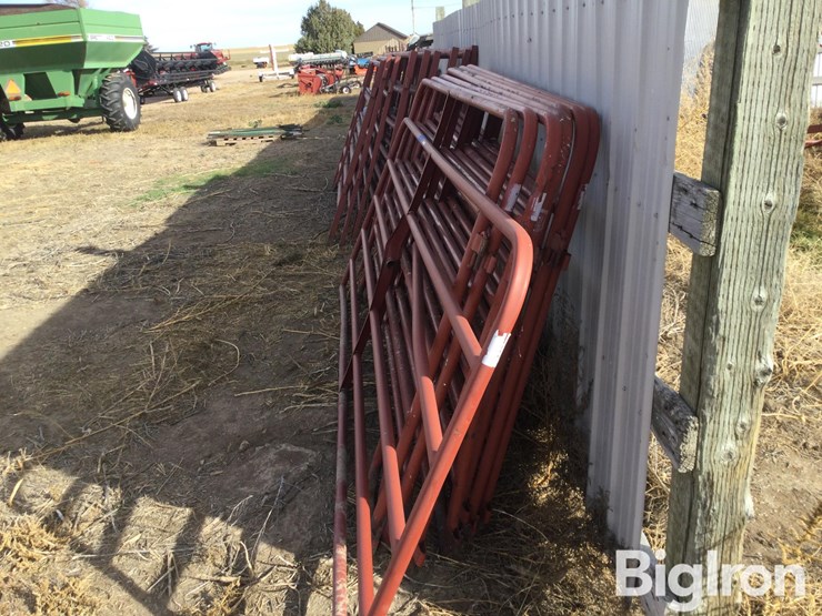 metal-livestock-panels-image-4