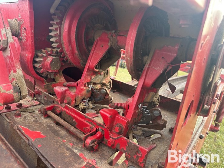 international-47-image-15