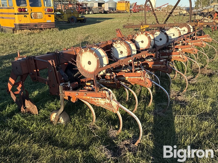 international-153-image-8